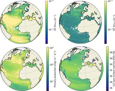 A machine learning model-based satellite data record of dissolved organic carbon concentration in surface waters of the global open ocean